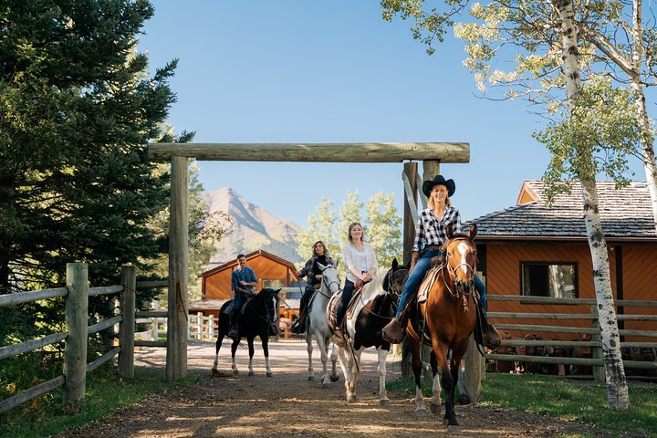 Valley Vista 1.5 Hour Horseback Trail Ride in Kananaskis - Photo 1 of 8