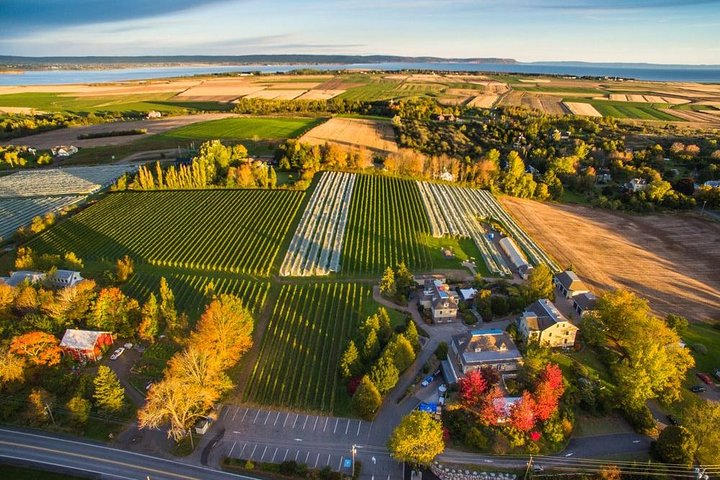 Authentic Valley Wine Tours. - Photo 1 of 15