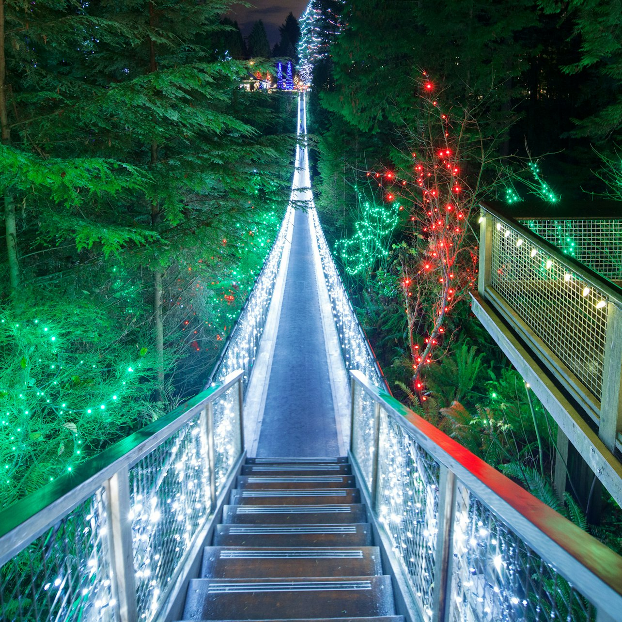 Vancouver: Christmas Tour with Capilano Canyon Lights - Photo 1 of 7