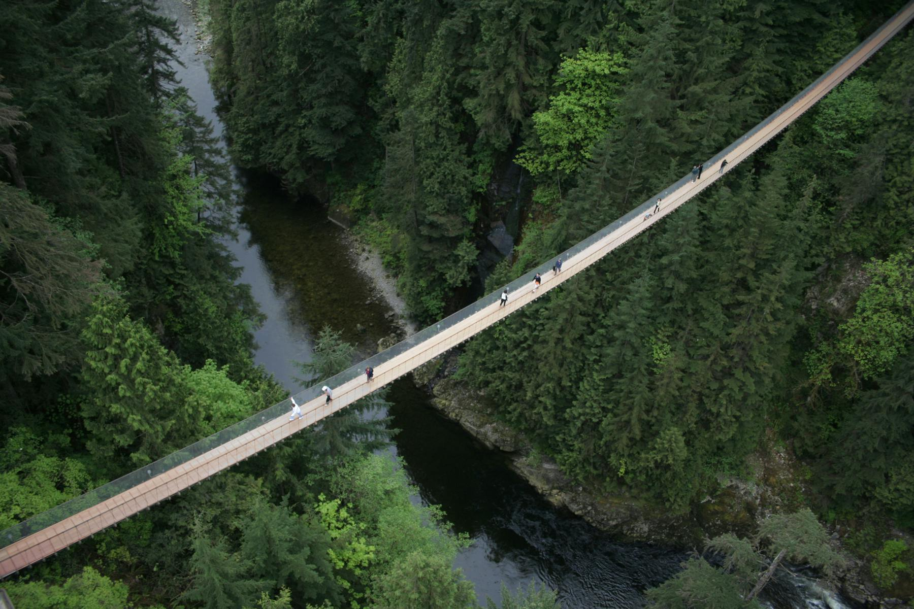 Vancouver: Guided City Tour with Capilano Park Entry + Optional Airport Drop-off - Photo 1 of 10
