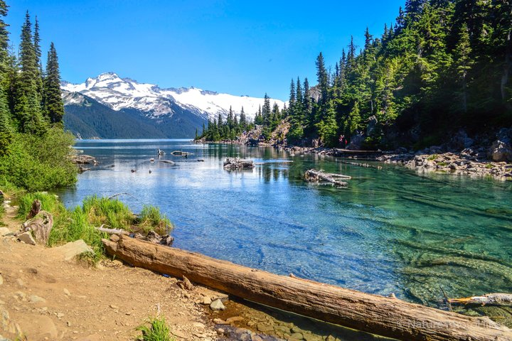 Garibaldi Lake Hike & Photography - Photo 1 of 15