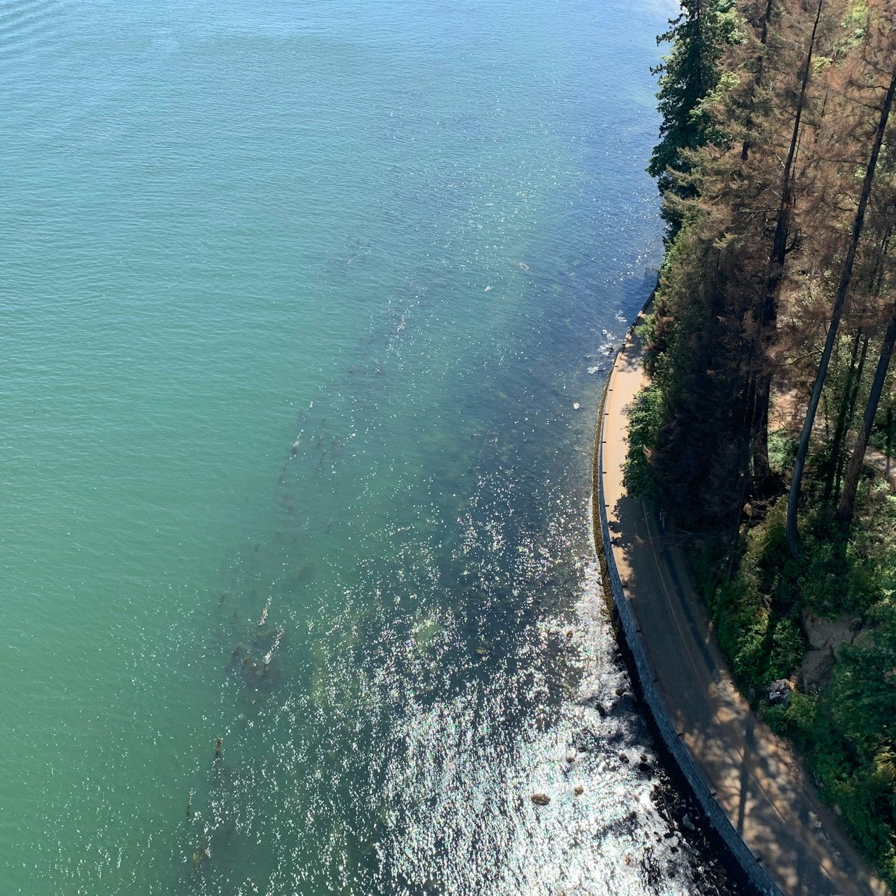 Vancouver: Guided Bike and Hike with Picnic Lunch - Photo 1 of 10