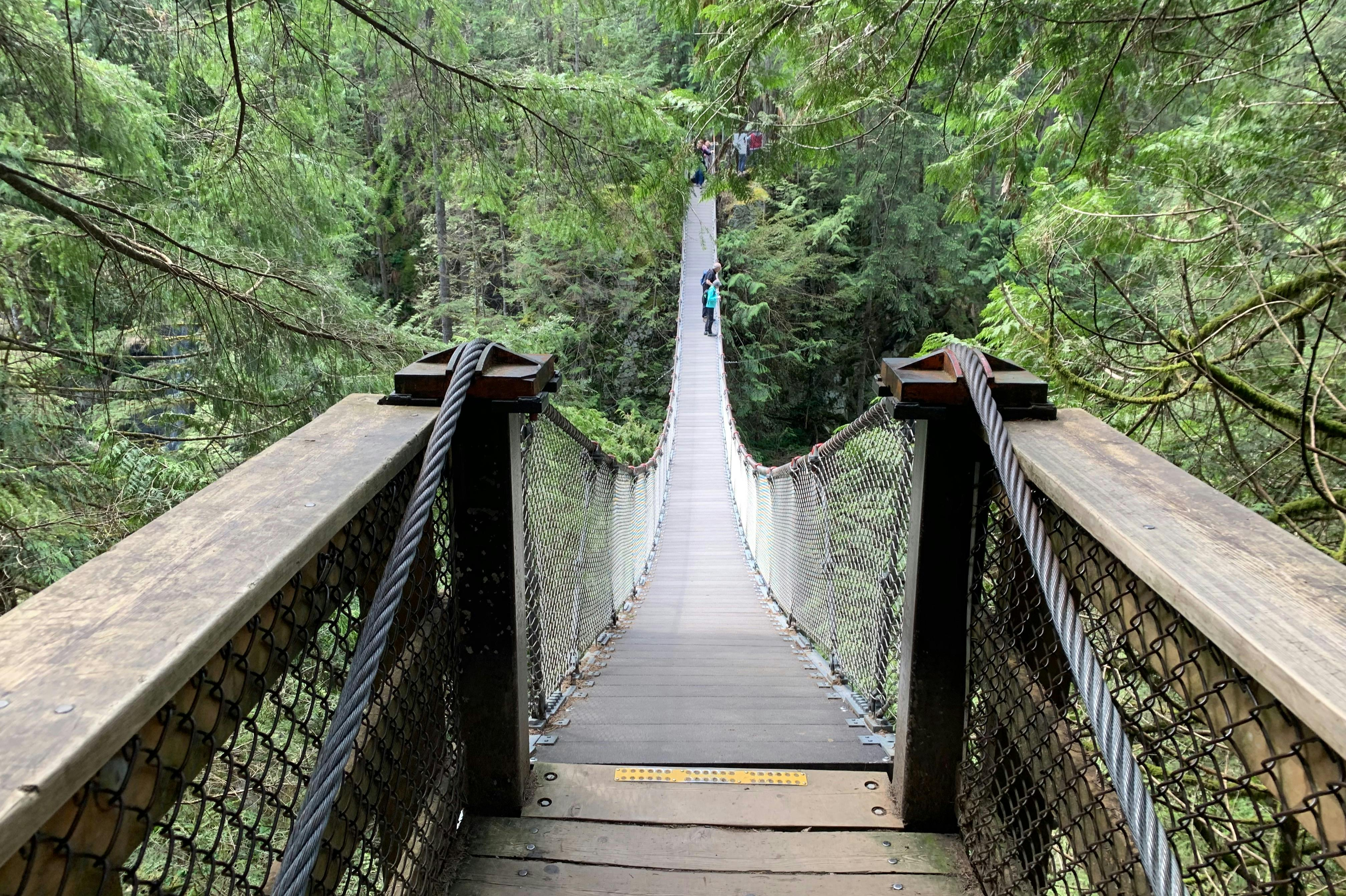 Vancouver: Guided Rainforest Hike with Waterfalls & Suspension Bridge + Transfer - Photo 1 of 9