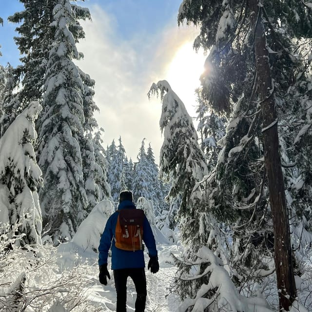 Vancouver Best Trails For Snowshoeing Vancouver Best Snowshoe