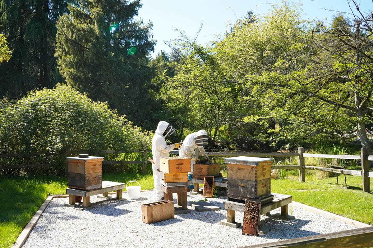 VanDusen Botanical Garden: Entry Ticket - Photo 1 of 1