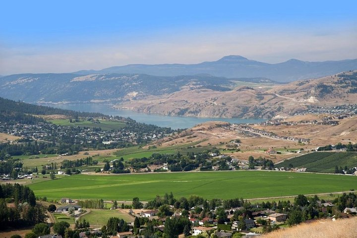 A Spectacular Scavenger Hunt: Versatile Vernon! - Photo 1 of 4