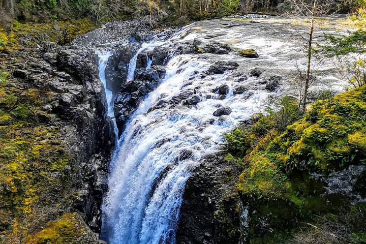 Englishman River Falls 