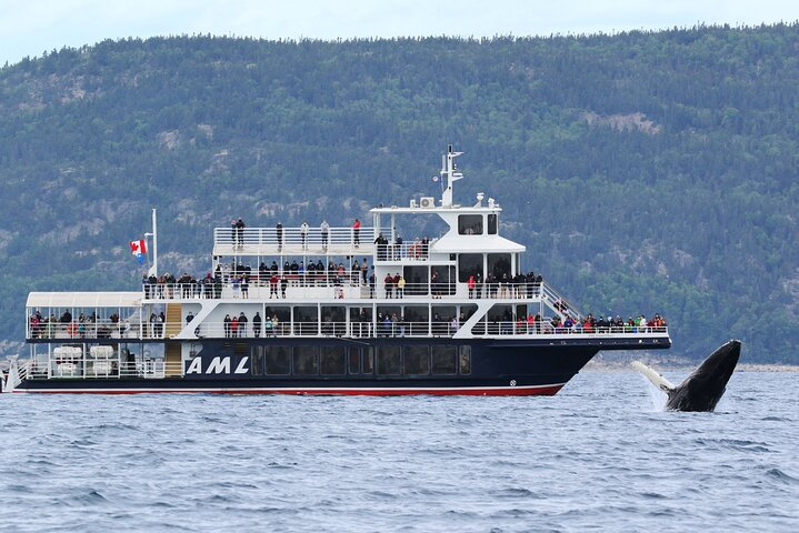 Tadoussac/Charlevoix: Whale Watching Tour - Photo 1 of 13