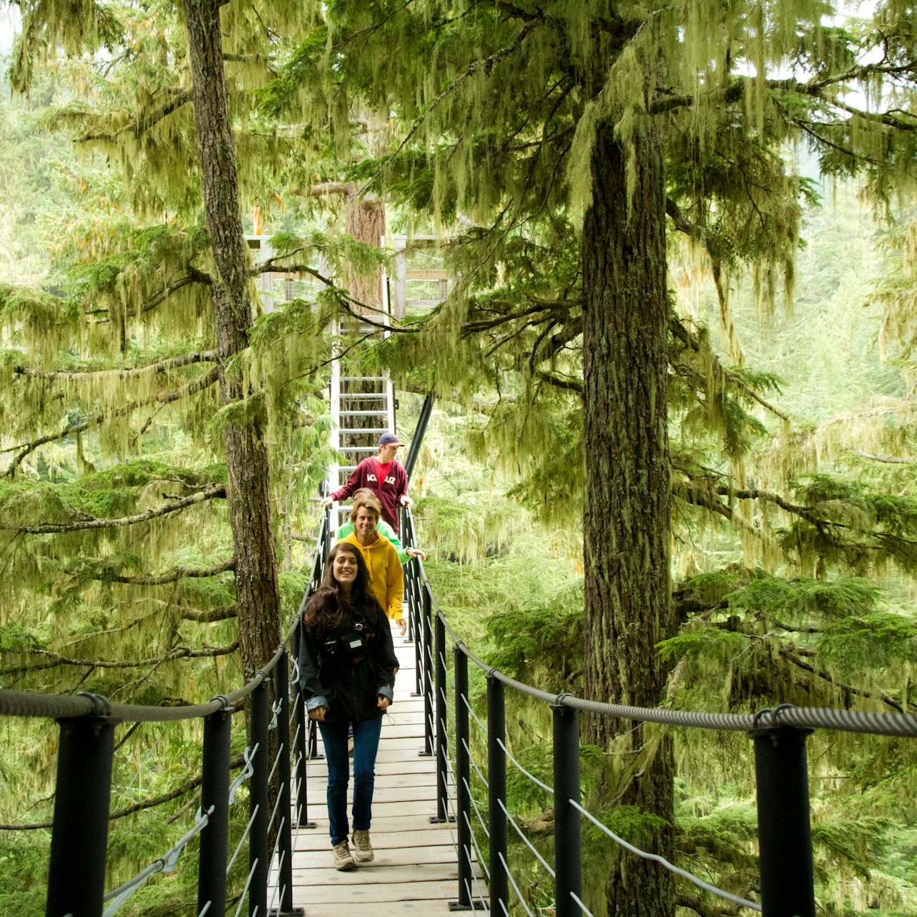 Whistler ZipTrek Ecotours: TreeTrek Adventure - Photo 1 of 8
