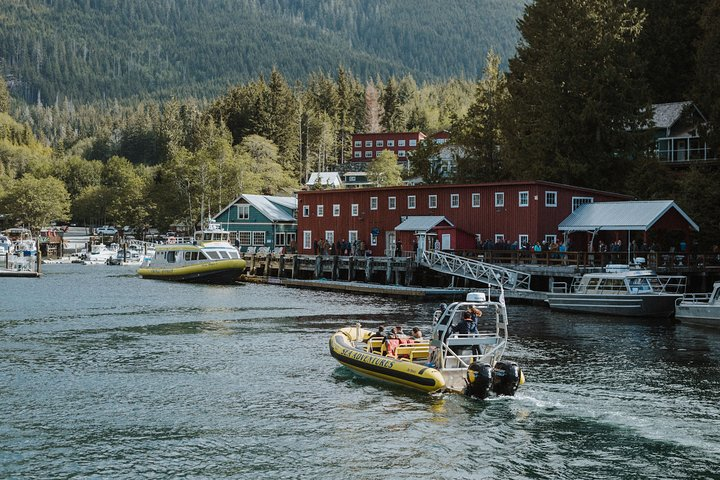 Vancouver Island Zodiac Whale Watching Adventure - Telegraph Cove - Photo 1 of 6