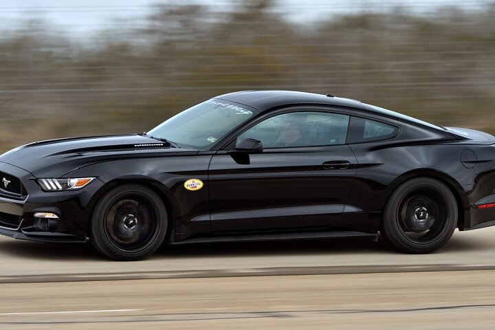 Bern to Interlaken One Way Private Transfer - Photo 1 of 25