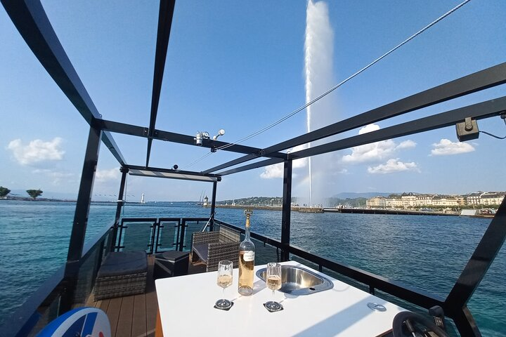 Geneva: Private Cruise on Lake Geneva with Aperitif - Photo 1 of 14