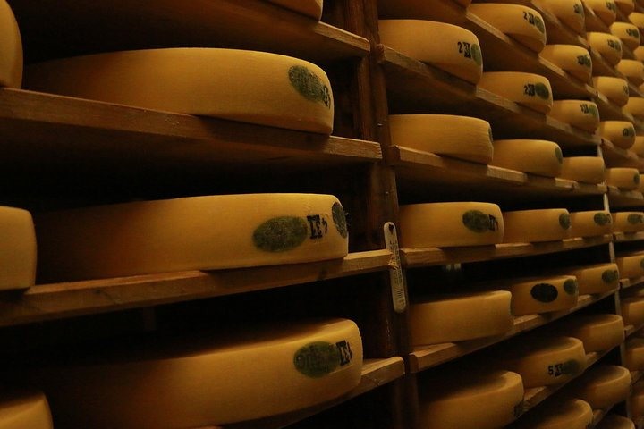 Cheese rounds maturing