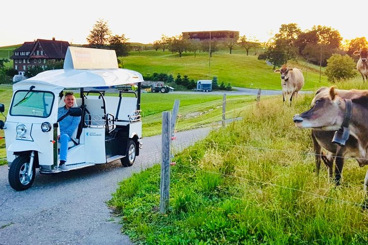 City Tour Plus Lucerne by Etuktuk - Photo 1 of 8
