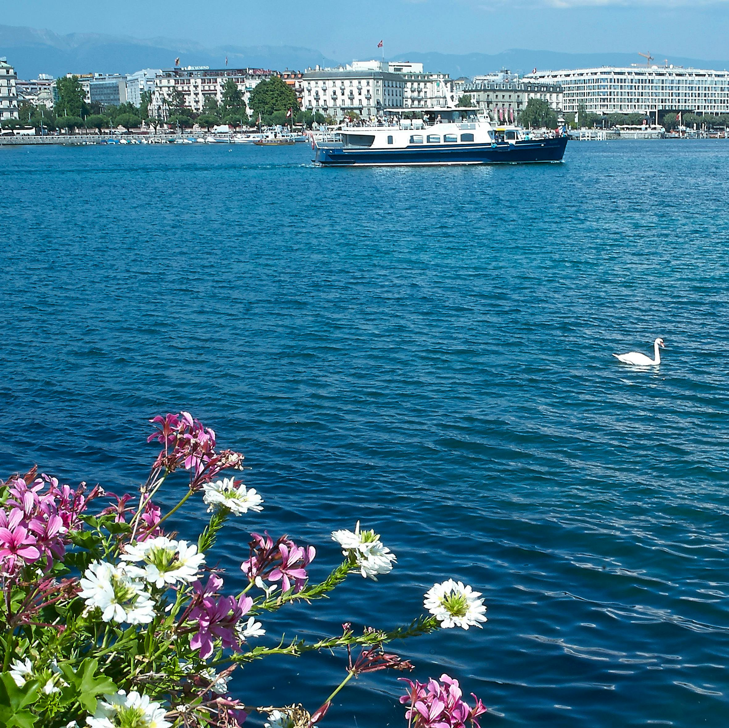 Geneva Boat Tour - Photo 1 of 5