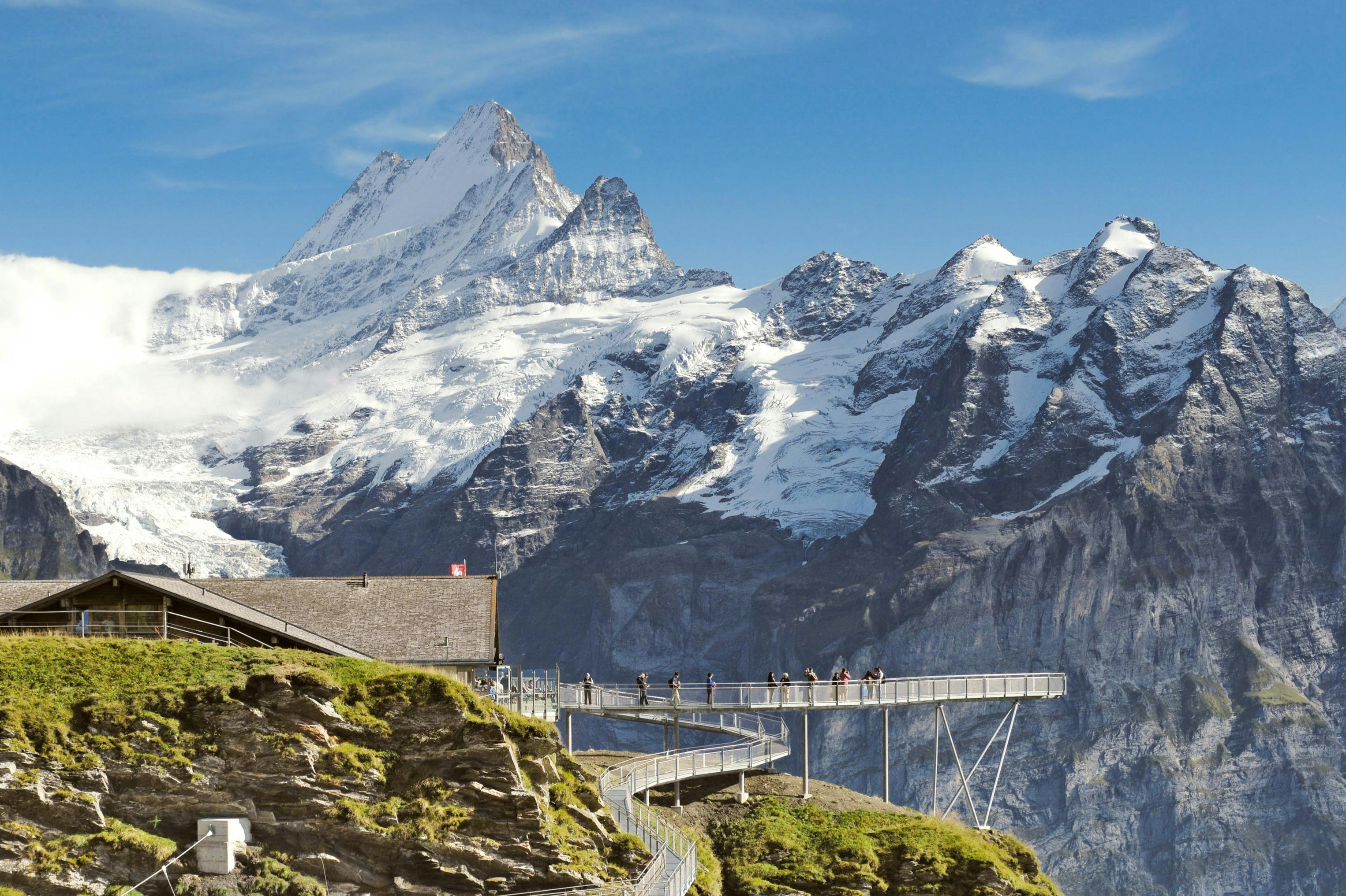 Grindelwald First: Roundtrip Gondola to Cliff Walk from Grindelwald - Photo 1 of 6