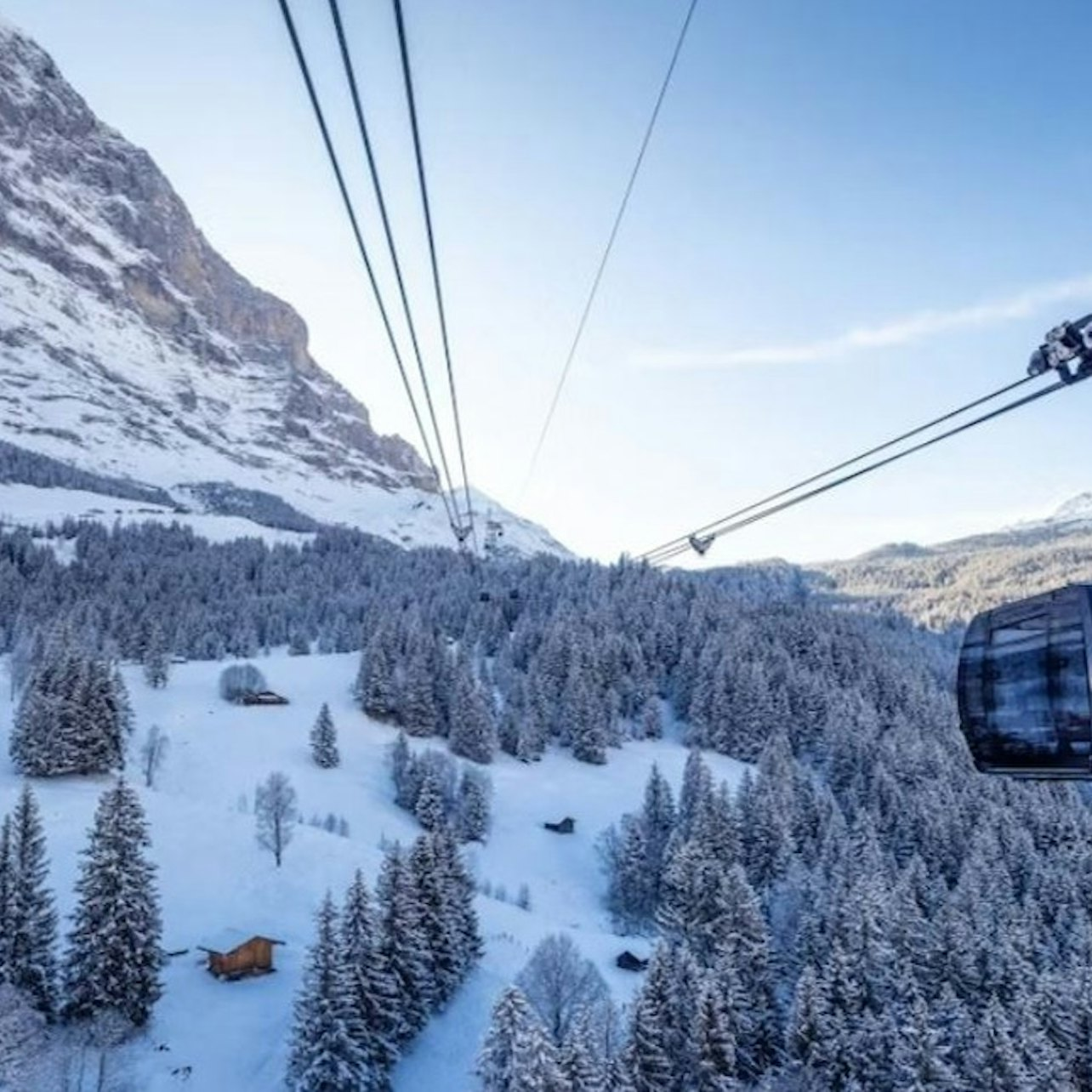 Jungfrau: Unlimited Winter Travel Pass for 3 to 8 Days - Photo 1 of 6