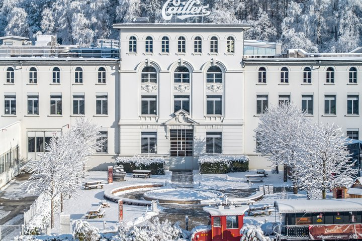 Gruyeres Day Trip with Chocolate & Cheese Factory from Lausanne - Photo 1 of 18