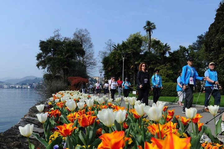 Lugano : Walking Tour in the City Centre - Photo 1 of 11