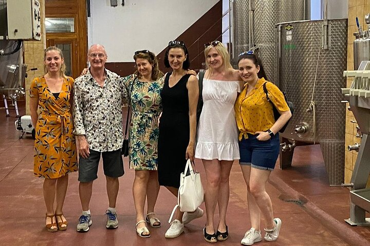 Taste wine with fellow wine enthusiasts on your private wine tour to Baden-Württemberg.