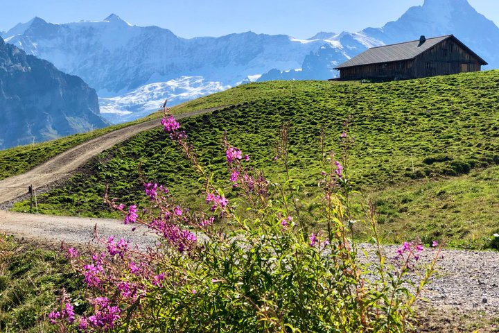 Swiss Alps Icons: Grindelwald & Lauterbrunnen Private Day Trip - Photo 1 of 15