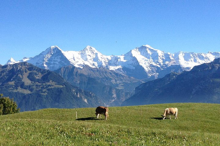 Interlaken, Jungfrau Region