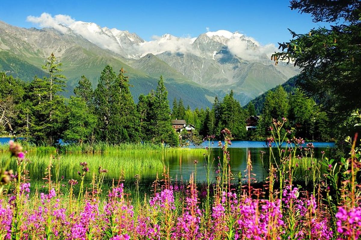Private Trip from Geneva to Swiss Riviera Montreux & Chamonix in