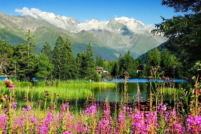 Private Trip from Geneva to Swiss Riviera Montreux & Chamonix in
