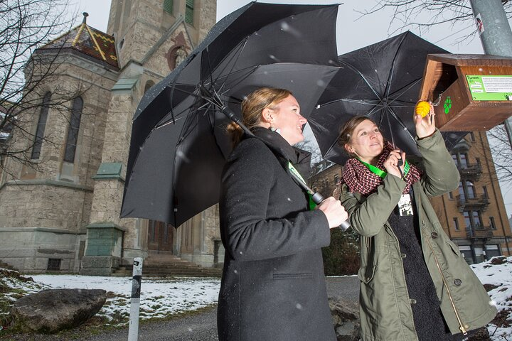 St. Gallen Foxtrail Gallus - Photo 1 of 6