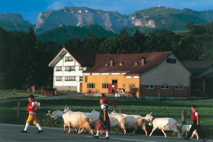 Typical Swiss Villages