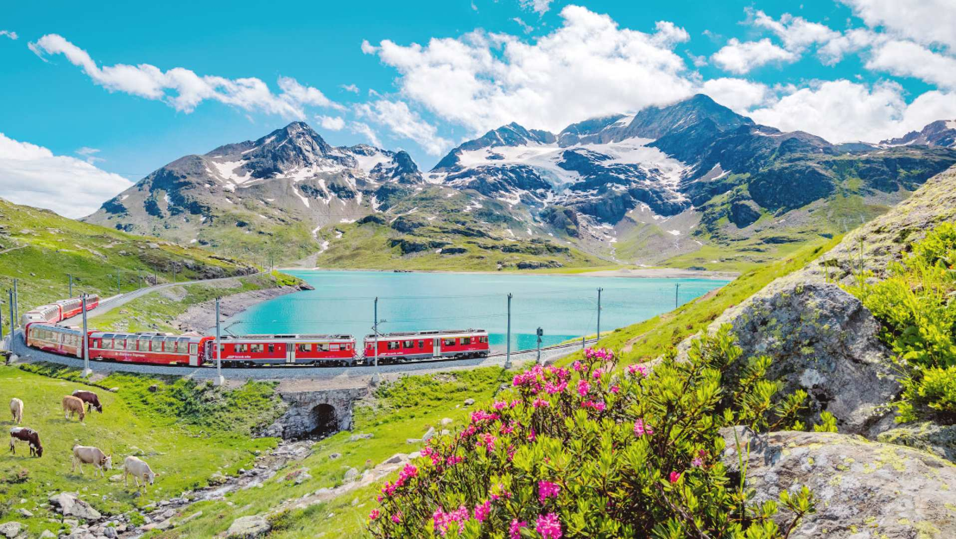  Glide past crystal-clear lakes and alpine meadows on one of Switzerland’s most scenic train routes - made even better with your Swiss Half Fare Card.
