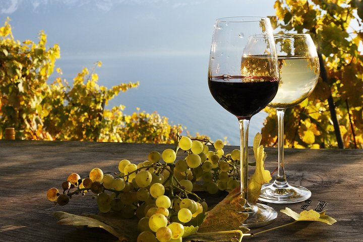 The Vine Tour from Zurich (Private Tour) - Photo 1 of 7