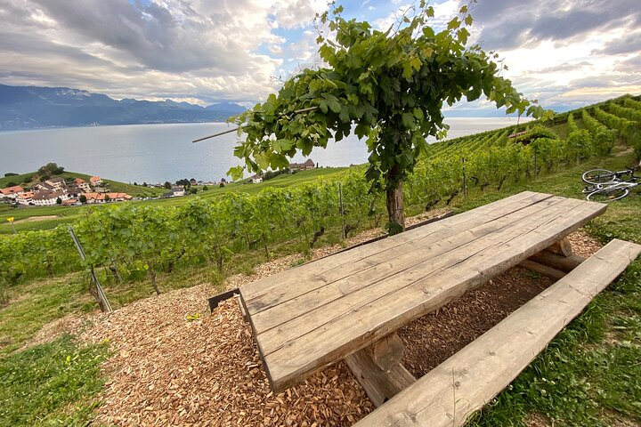 Vine Stories: Lavaux Lutry wine walk in Lausanne Pelago