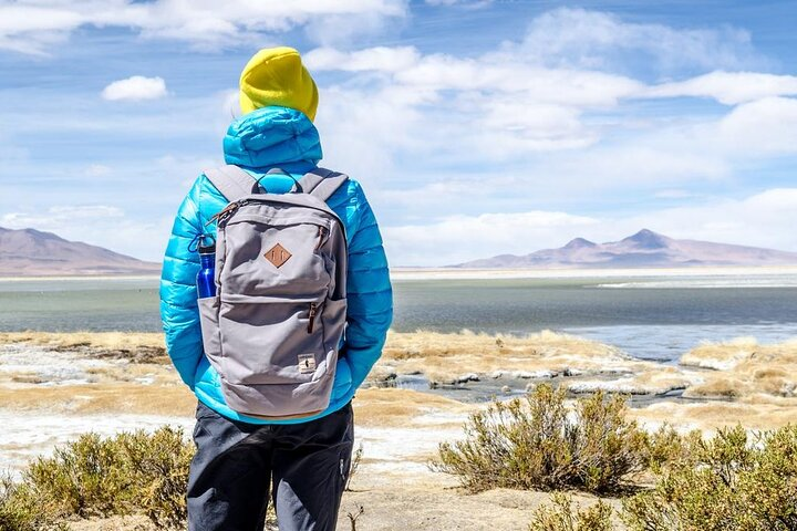 4-Day Atacama Highlights - Geysers, Lagoons and Valleys  - Photo 1 of 11