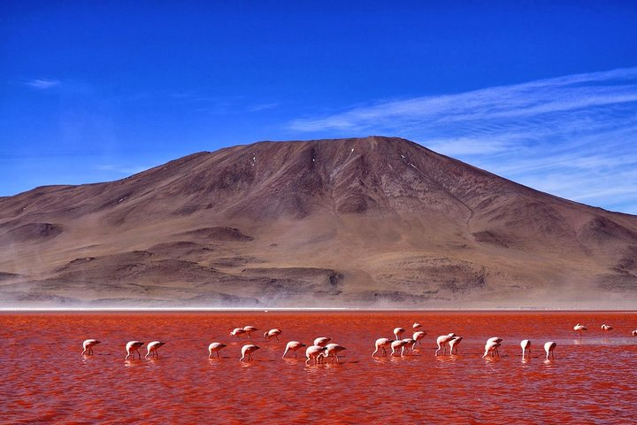 6-Days Discovering 2 of the World's Largest Salt Flats, Atacama & Uyuni  - Photo 1 of 11
