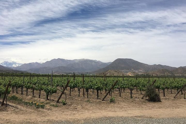 Aconcagua Valley - Photo 1 of 6