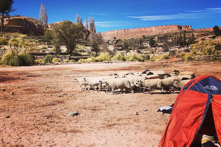 Altiplanicos Towns Tour - Photo 1 of 7