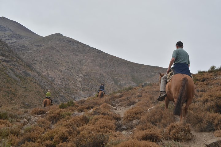 Yerba Loca horseback riding 