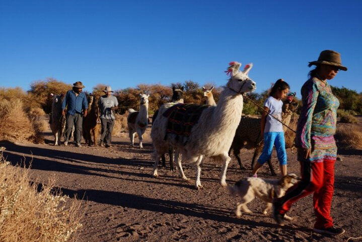 Archaeological Experience in Atacama Tulor and Quitor - Photo 1 of 7