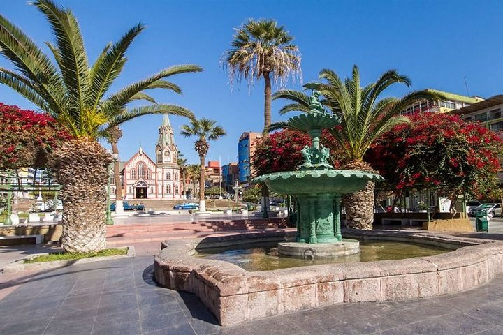 Arica Private Sightseeing Tour