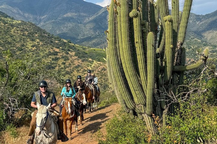 Andean Horseback Ride: Scenic Trails & Wine Picnic - Photo 1 of 25