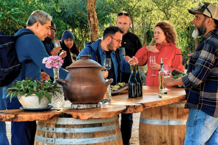 4 Exclusive & boutique wineries in Casablanca - Tanino Restaurant - Photo 1 of 25