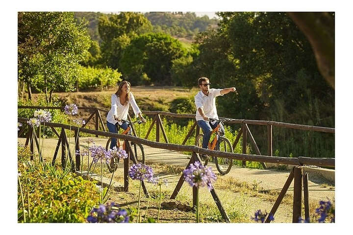 Casablanca Wine Tour - Photo 1 of 6