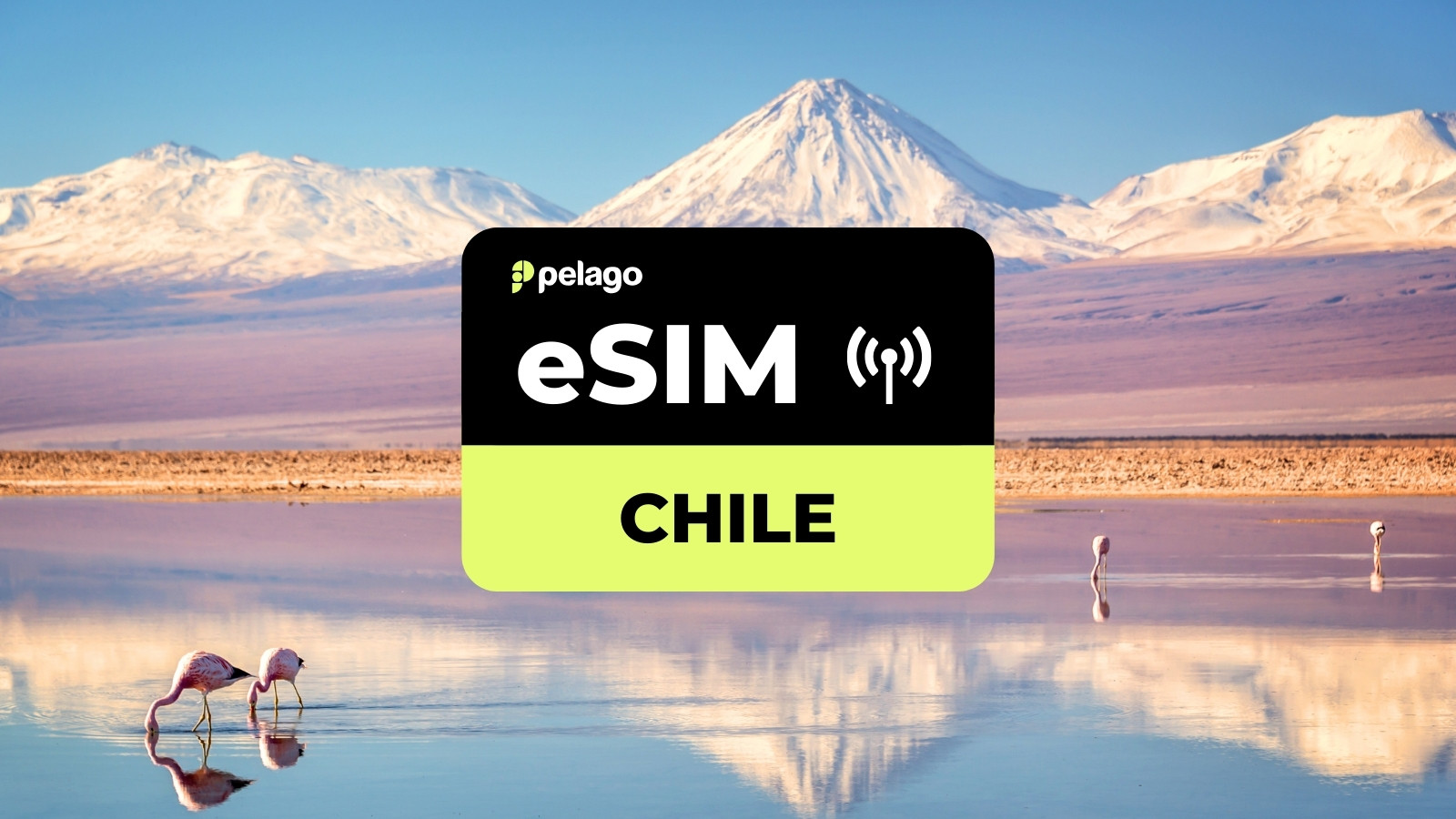 Chile eSIM by Pelago - Photo 1 of 1
