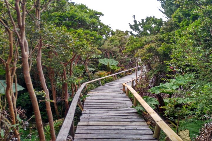 Parque Nacional Chiloé