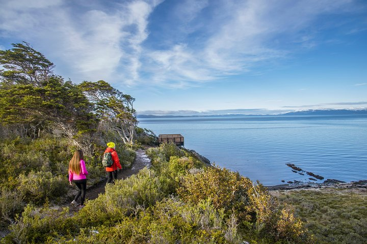 Cruises Shore Excursions: City Tour + Fort Bulnes  - Photo 1 of 17