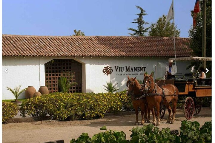 Colchagua Premium Wine Tour from Santiago - Photo 1 of 3