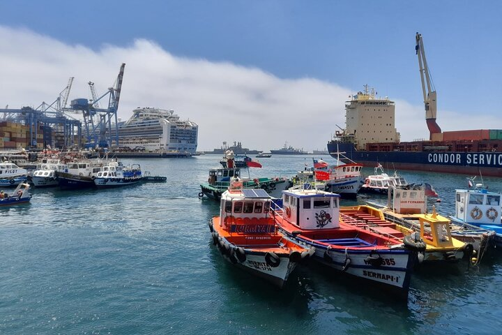 Post-Cruise Valparaíso & Viña del Mar Tour to Santiago – Max 4 - Photo 1 of 10
