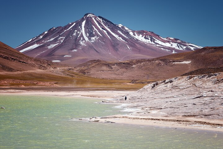 Full Day Private Tour of Piedras Rojas Altiplanic Lagoon Chaxa - Photo 1 of 6