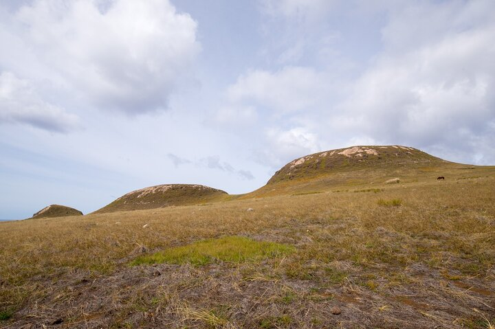 Full day Private Tour: Poike Walk through the abandoned area - Photo 1 of 13